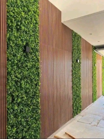 تنسيق حدائق الأحساء